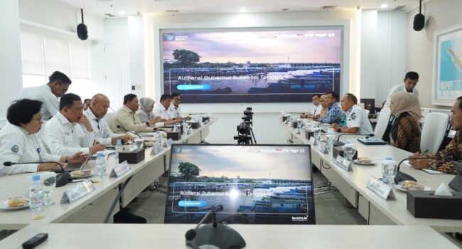Gubernur Paparkan Potensi Maritim Sultra dalam Audiensi dengan KKP
