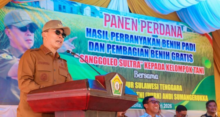 Pemprov Sultra Perkuat Program Benih Mandiri melalui Pembagian Benih Padi “Sanggoleo Sultra”
