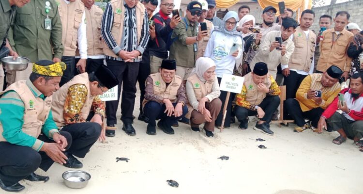 Kanwil Kemenag Sultra Lepas 100 Ekor Tukik Penyu Hijau di Pantai Lakeba Baubau