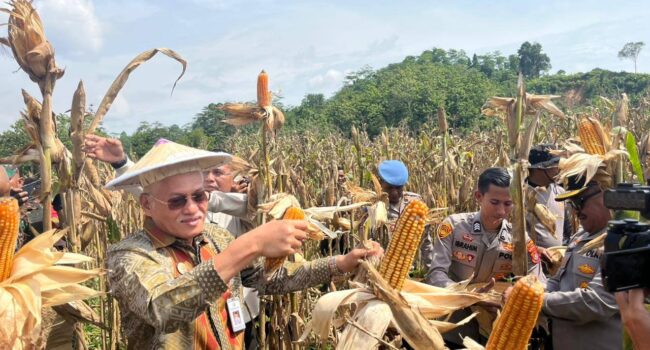 Sekda Sultra Wakili Gubernur Serahkan Pupuk dan Bibit pada Panen Raya Nasional Polri