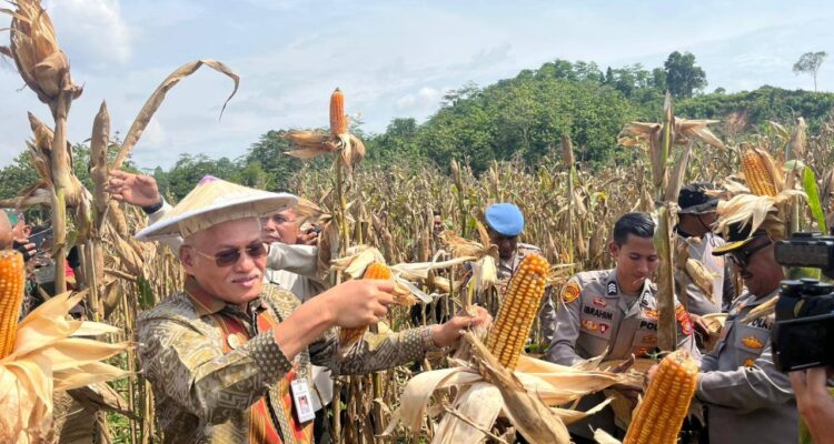 Sekda Sultra Wakili Gubernur Serahkan Pupuk dan Bibit pada Panen Raya Nasional Polri