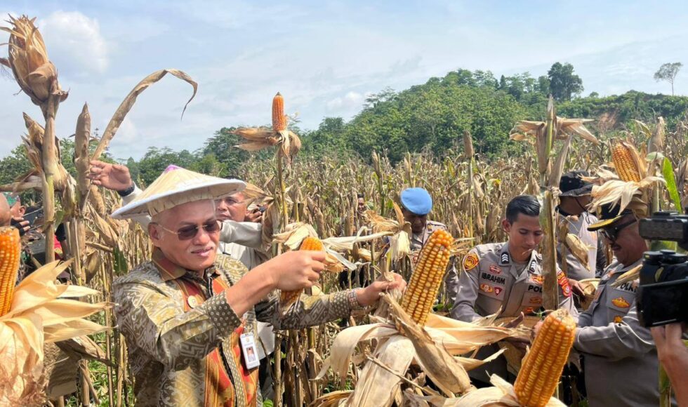 Sekda Sultra Wakili Gubernur Serahkan Pupuk dan Bibit pada Panen Raya Nasional Polri