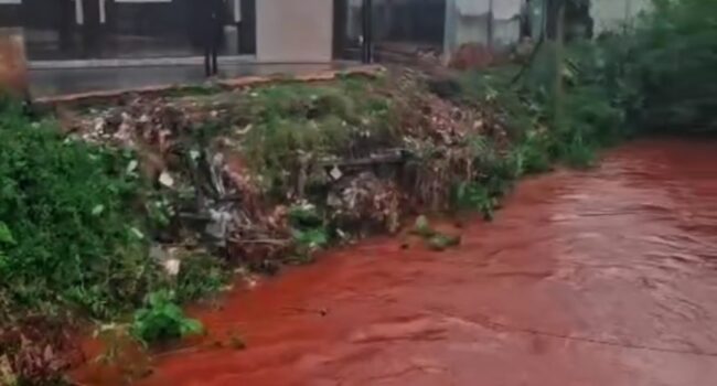 Ini Dampak Aktivitas Tambang PT Vale Kolaka